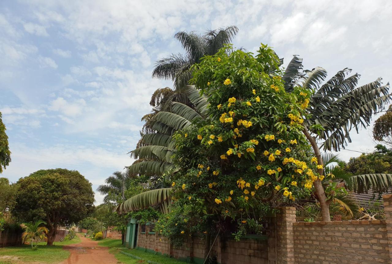 Anna'S Place Entebbe Bed & Breakfast Dış mekan fotoğraf